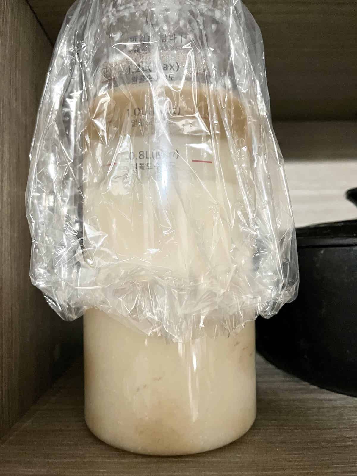 A failed makgeolli home ferment.