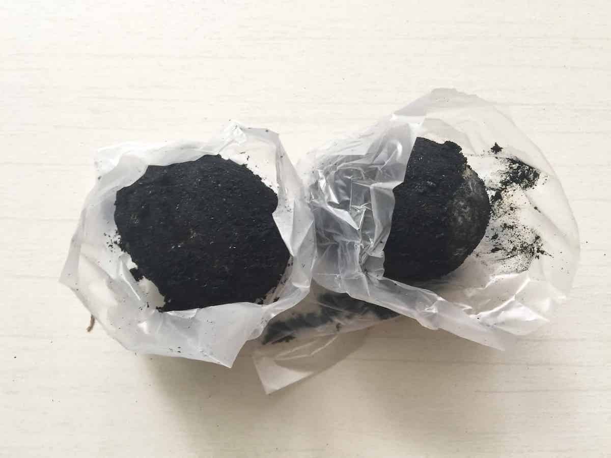 2 commercially made salted duck eggs with black charcoal around them.