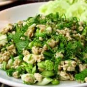 Close-up of Laotian chicken larb on a white plate.