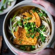 2 hands holding a bowl of vegan pho.