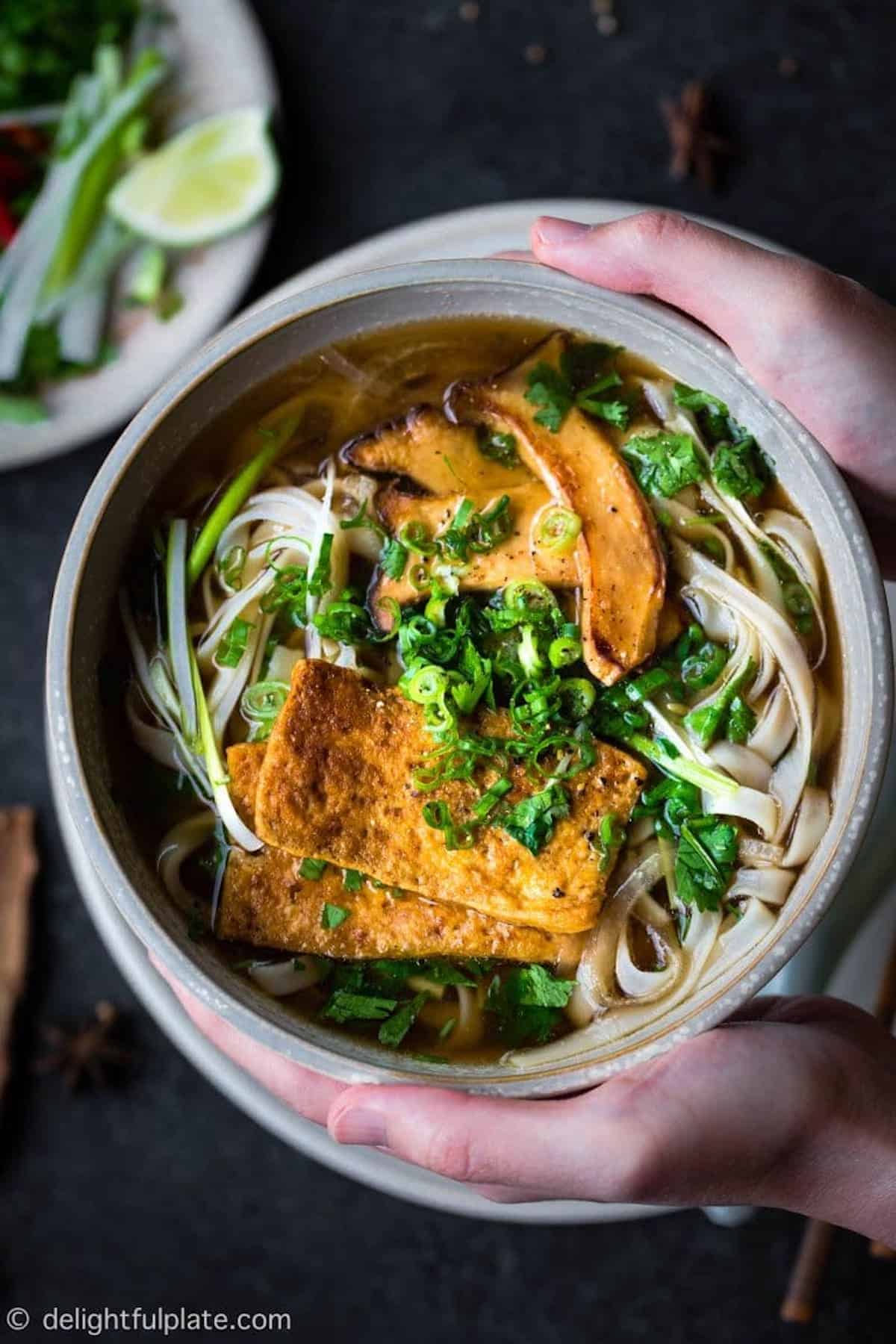 2 hands holding a bowl of vegan pho.