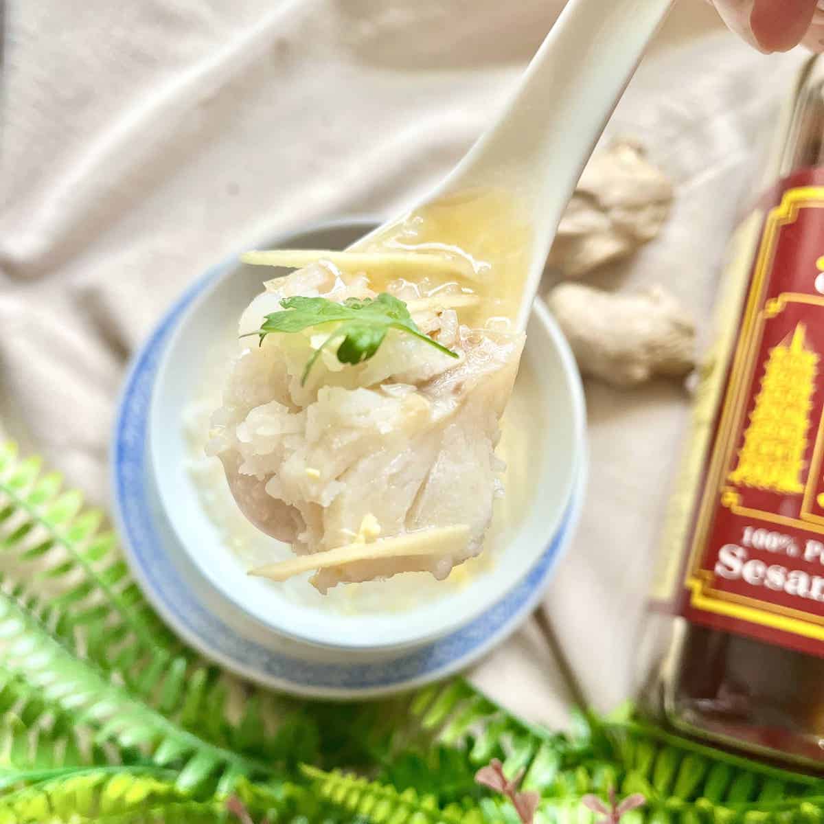 A spoonful of homemade Chinese congee with fish and ginger.