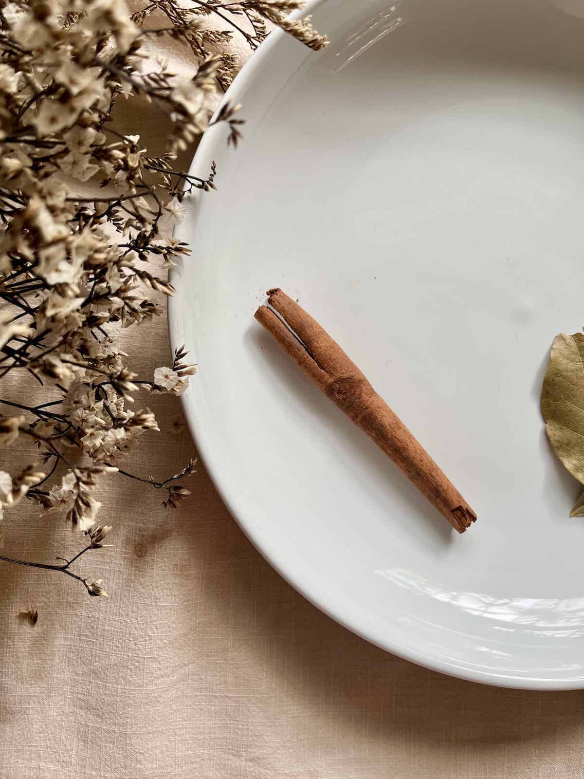 A cinnamon stick on a white plate.