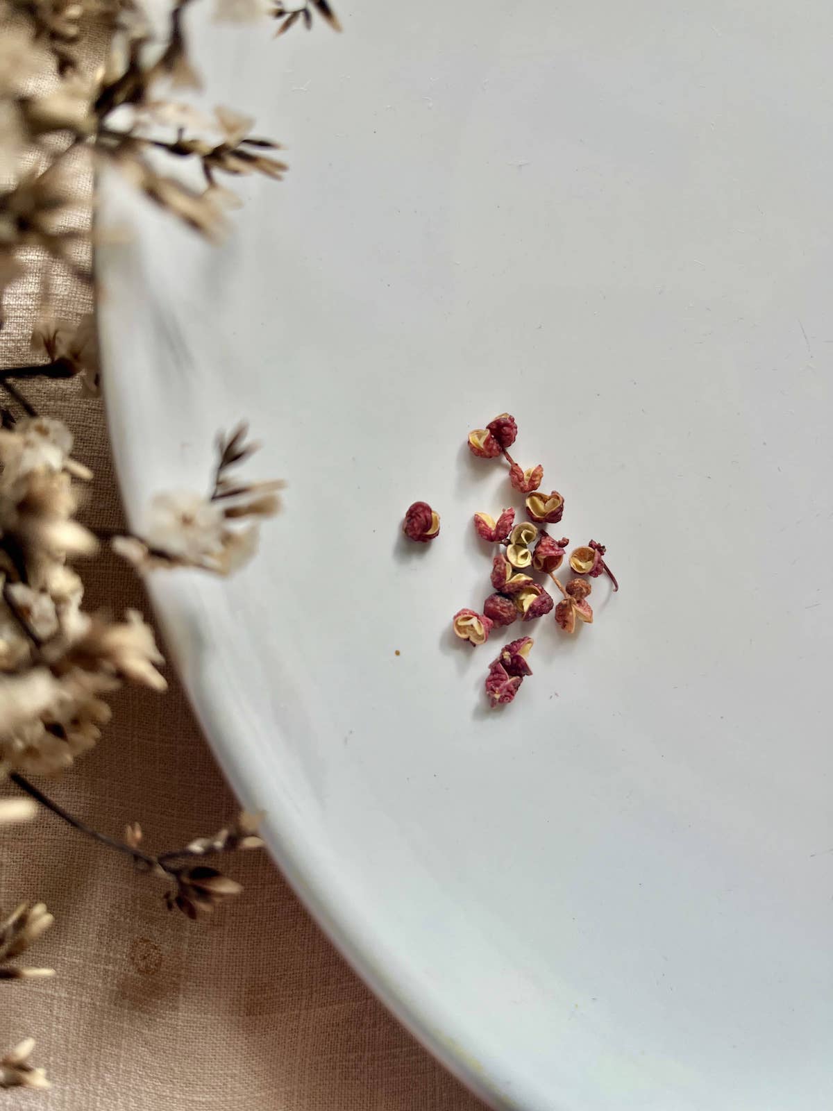 Pink Sichuan peppercorns on a white plate.