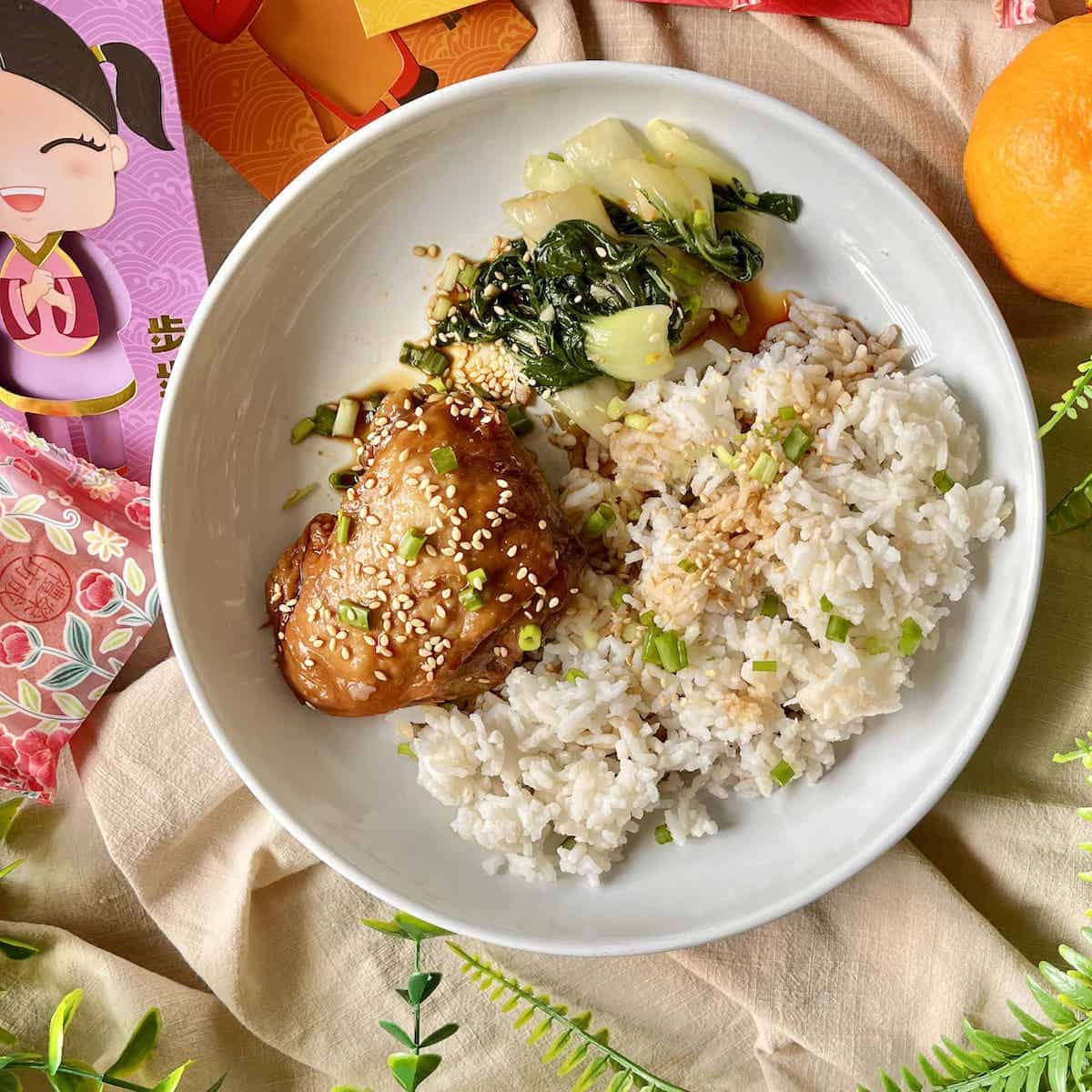 Soy Sauce braised chicken thigh with bok choy and rice.