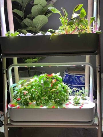 2 Click & Grow Smart Garden 9 sets stacked up on top of each other.