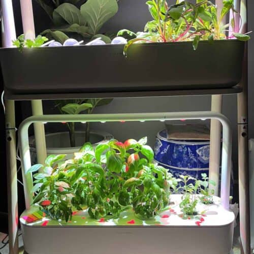 2 Click & Grow Smart Garden 9 sets stacked up on top of each other.