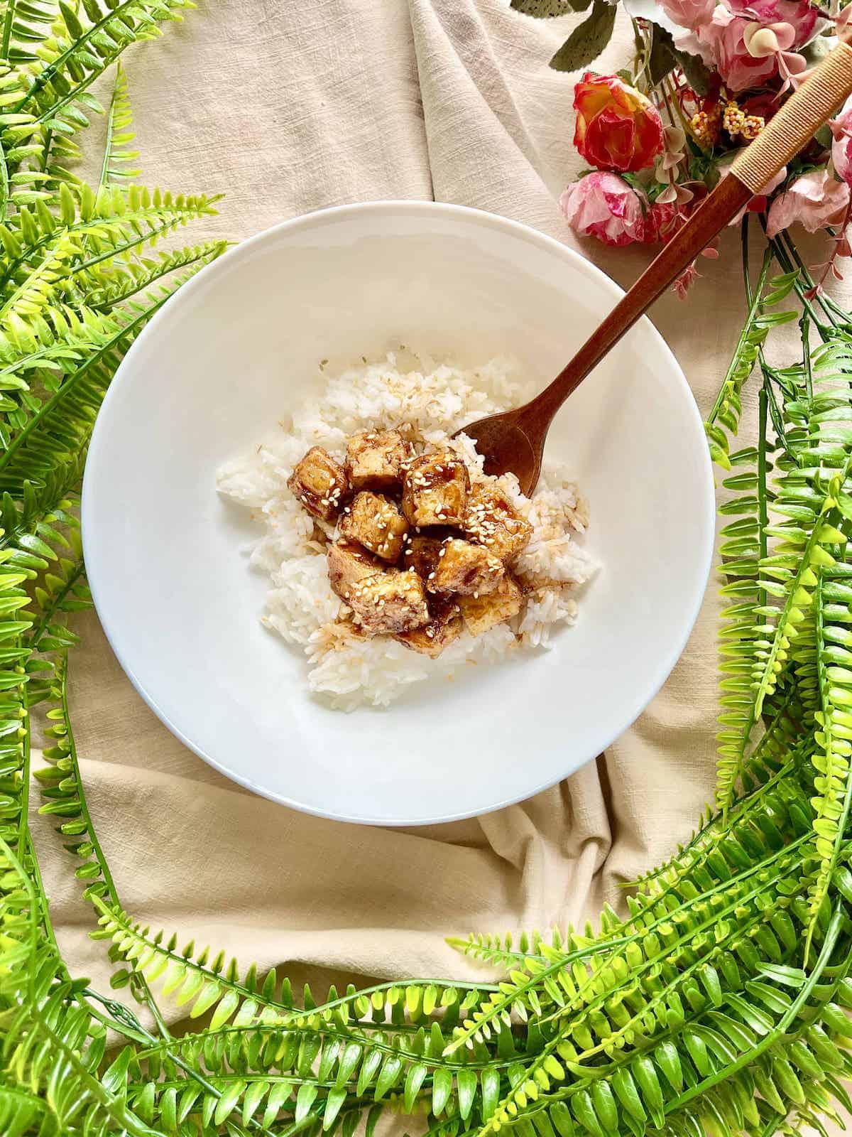 A bowl of white rice topped with fried tofu cubes in teriyaki sauce.