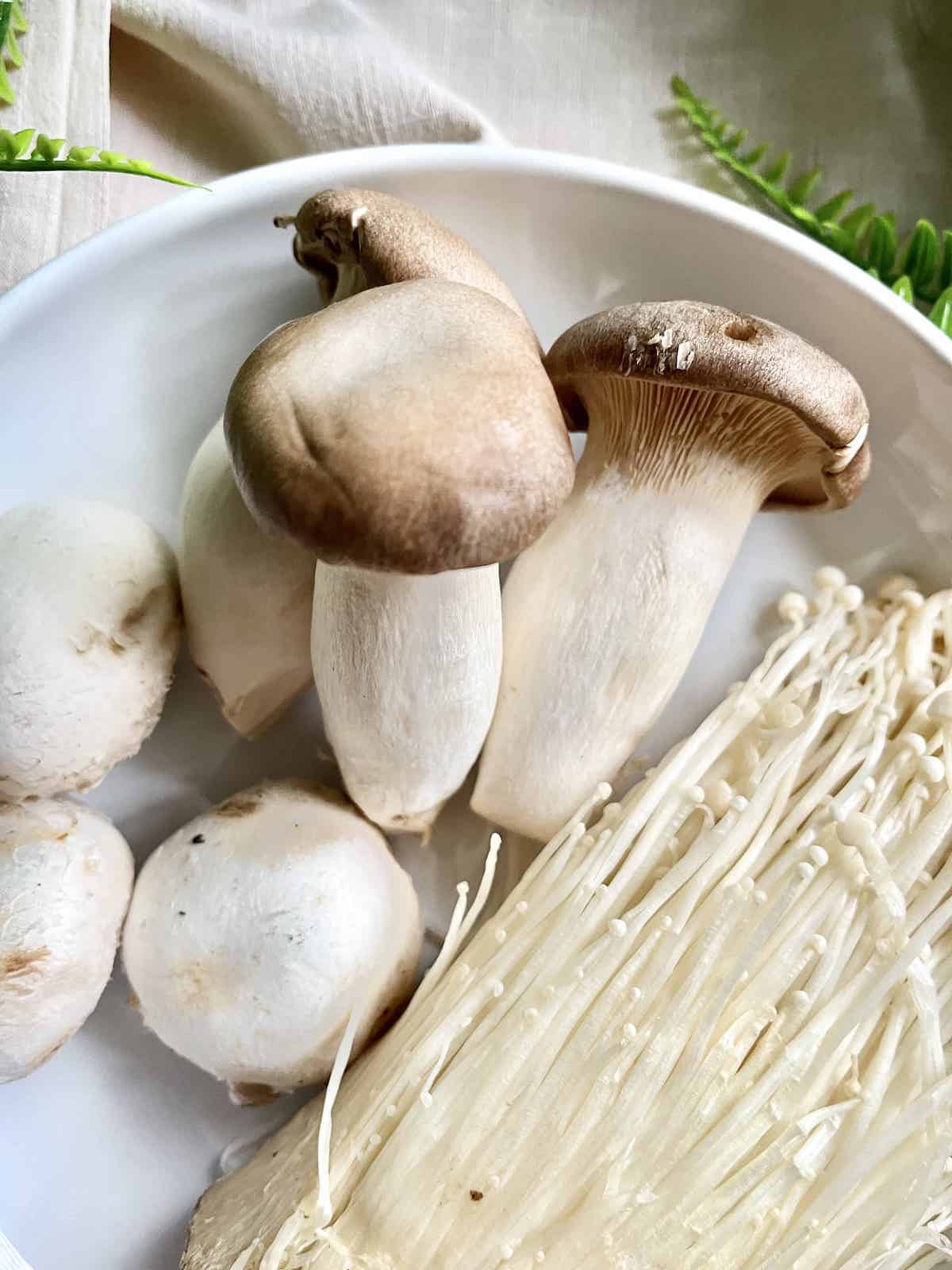 Close-up of meaty king oyster mushrooms also known as eryngii mushrooms.