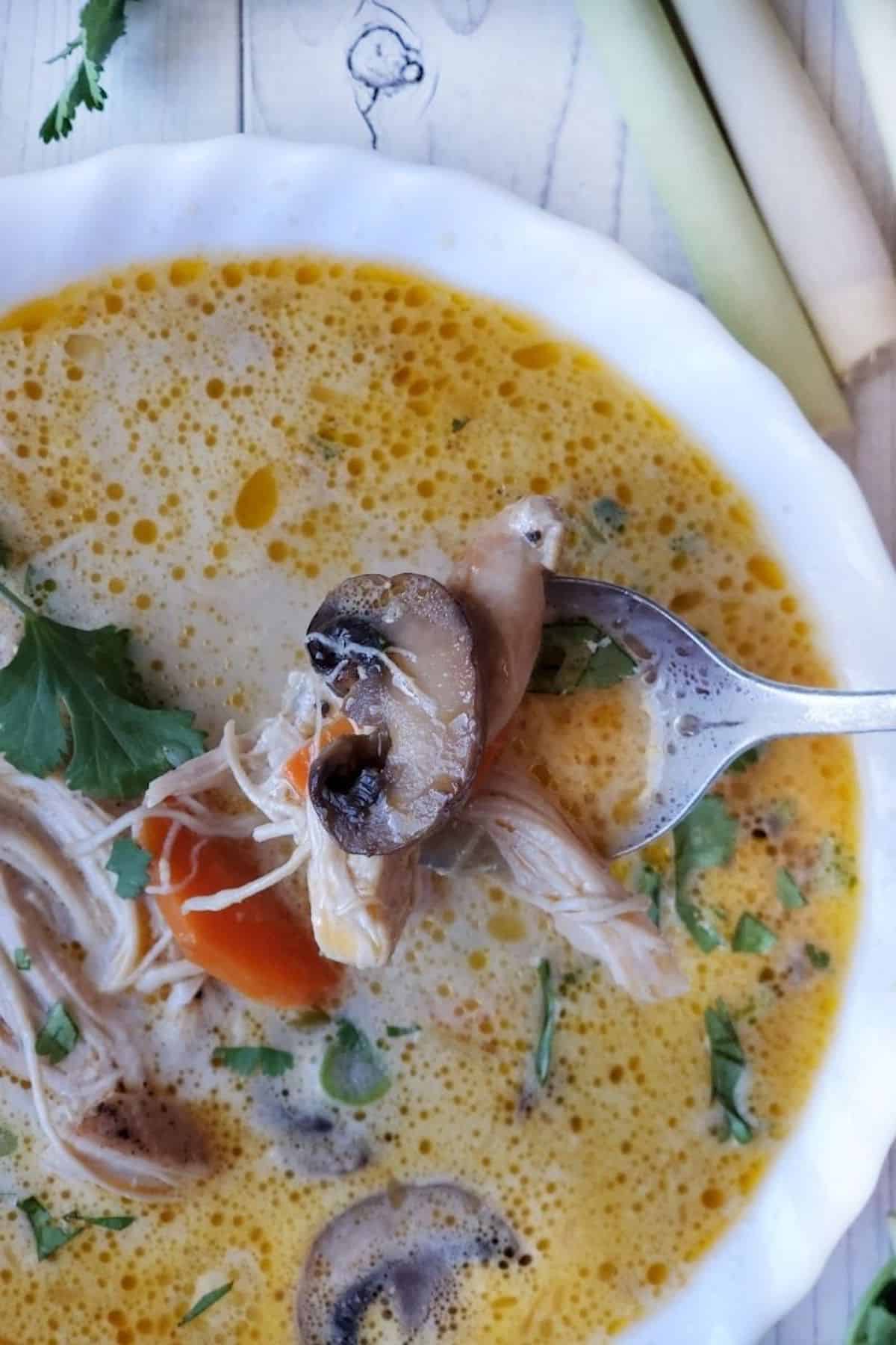 Close-up of Thai inspired soup in a white bowl.