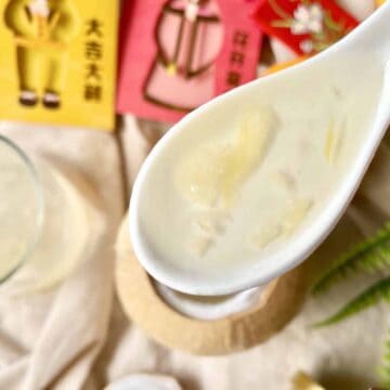 Close-up of a spoonful of steamed bird's nest sweet soup.