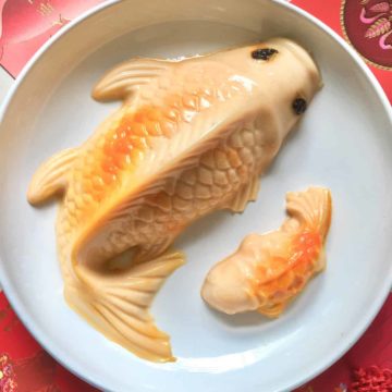 Close-up of 2 CNY koi fish jelly