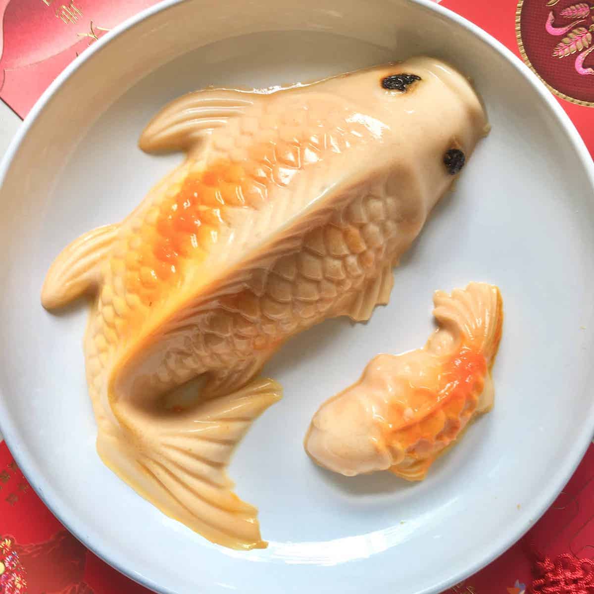 Close-up of 2 CNY koi fish jelly