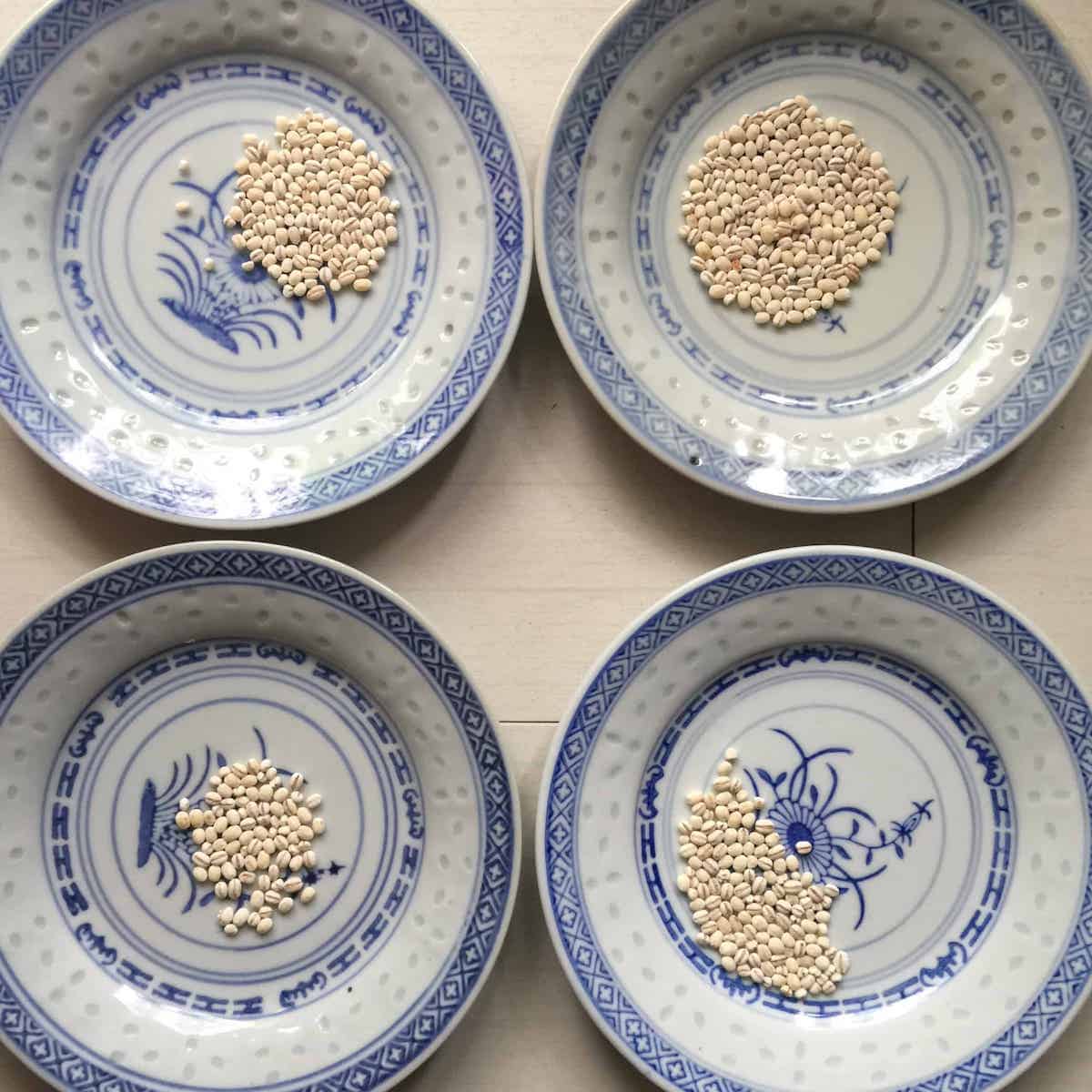 Comparing pearl barley toasted for different times