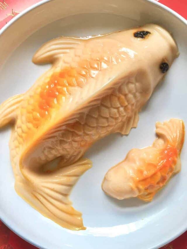 Close-up of 2 CNY koi fish jelly