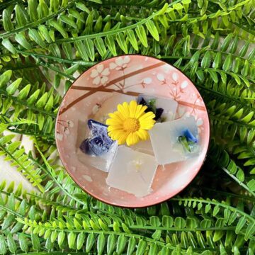 A bowl of cube-shaped agar aagr with edible flowers in them in a pink bowl.