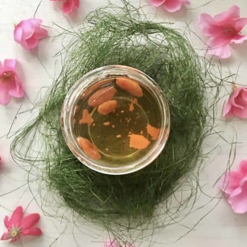 A cup of hot gojibesry tea surrounded by cherry blossoms.