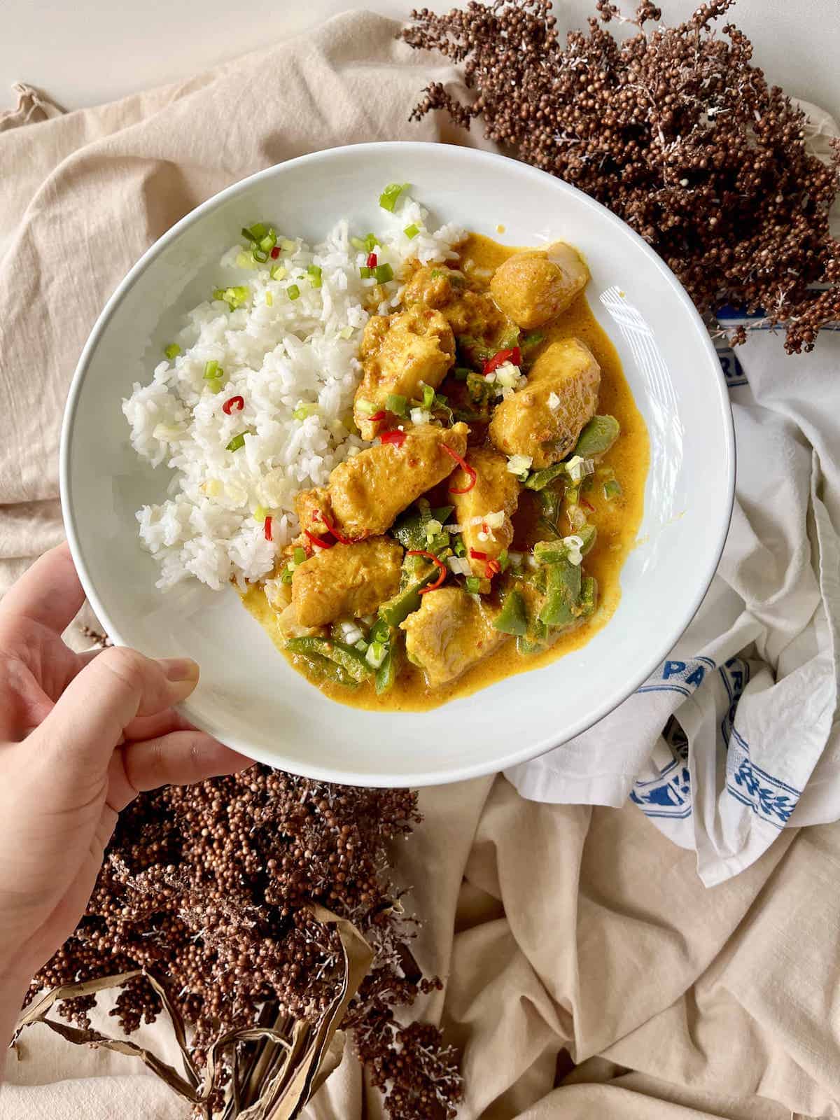 Someone holding up a plate of coconut fish curry with white rice.