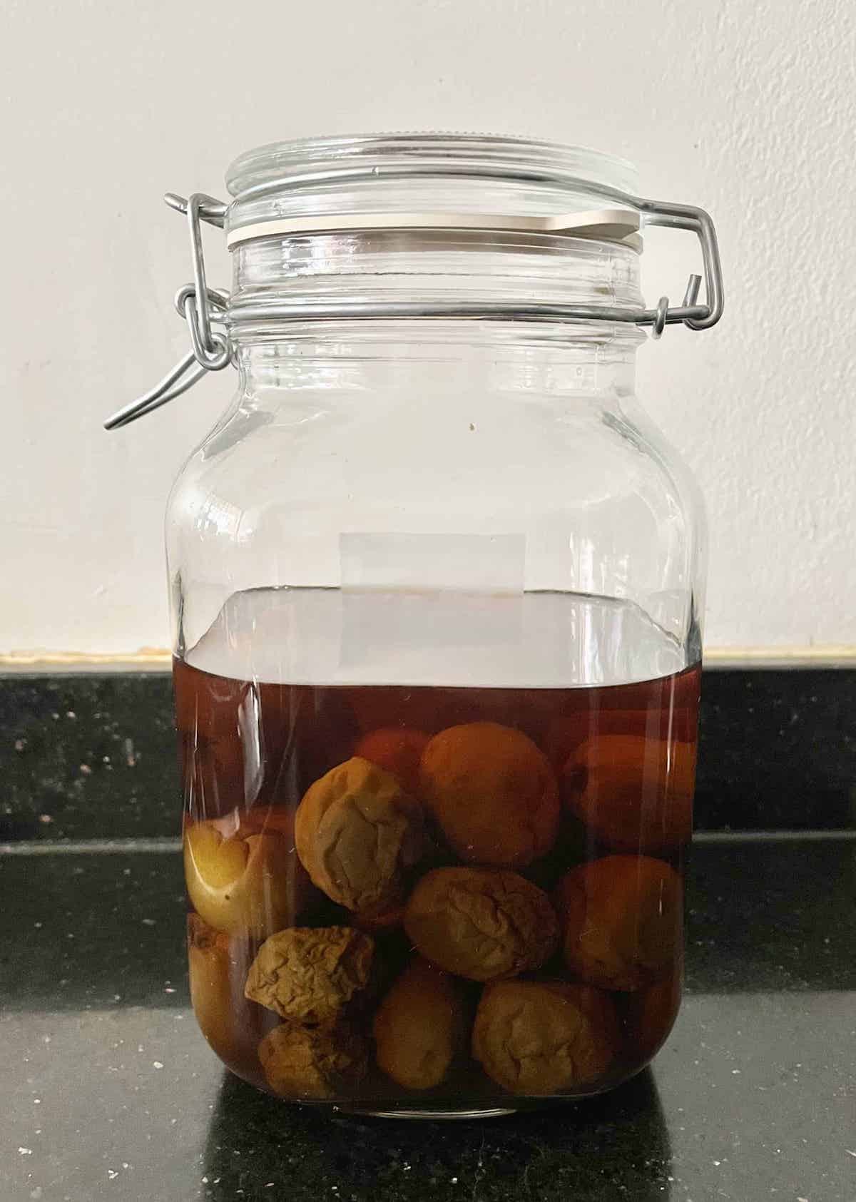 Asian green plums soaking in alcohol to make plum wine.