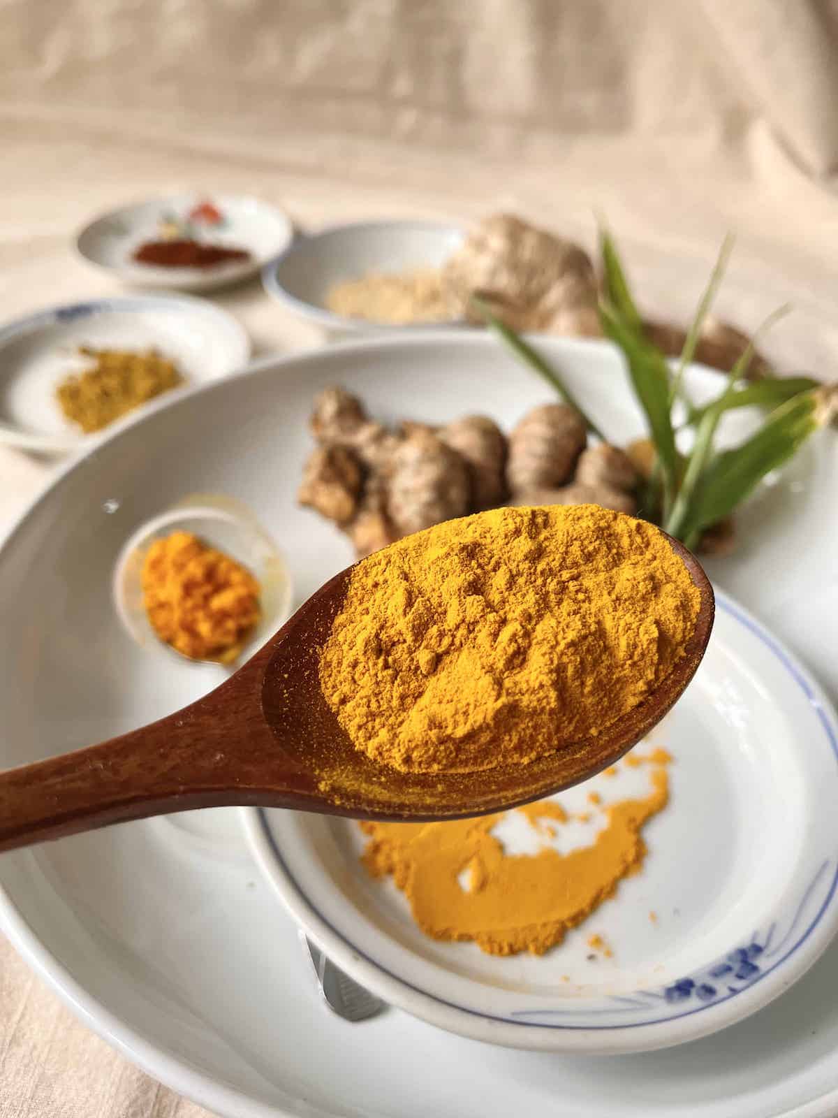 A spoonful of orange turmeric powder with substitutes in the background.