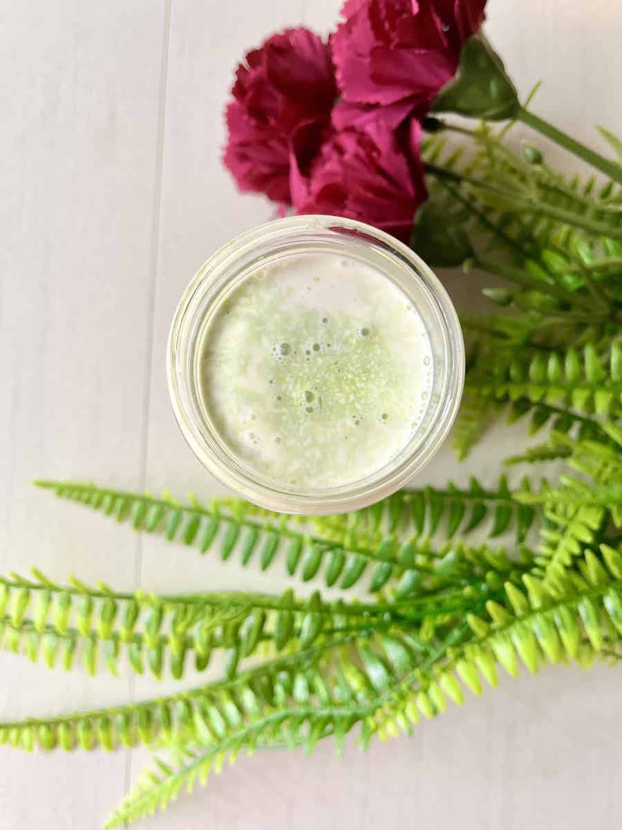 Overhead shot of homemade pandan milk, which is green and white in color.