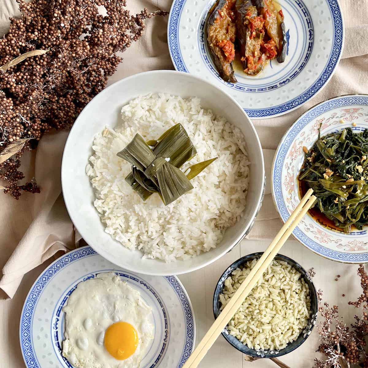 A Singporean meal with 2 types of pandan rice, fried egg, eggplant and sambal kangkong.