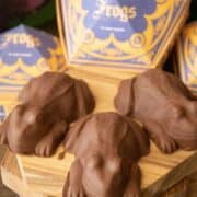 Close-up of 3 chocolate frogs.