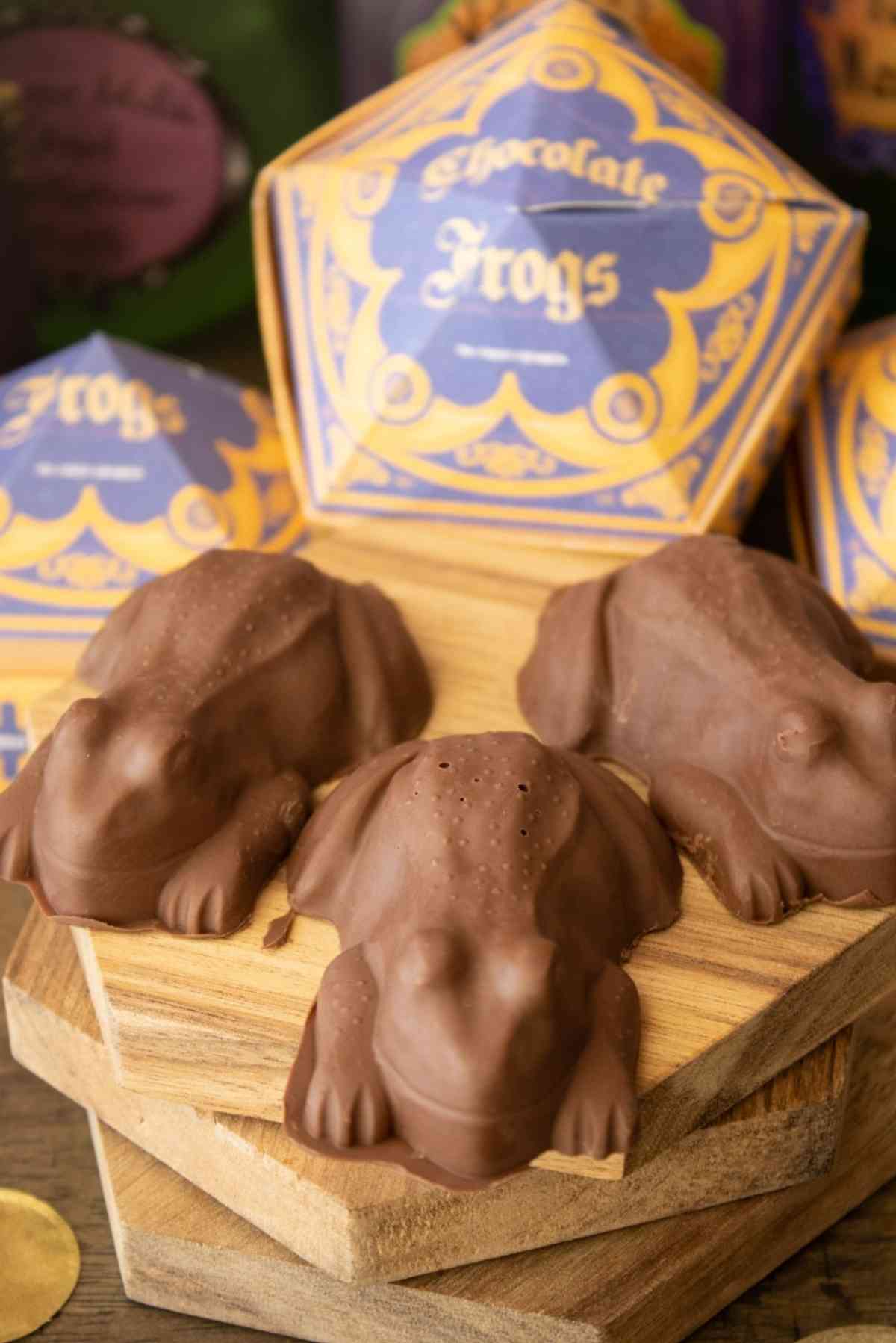 Close-up of 3 chocolate frogs.