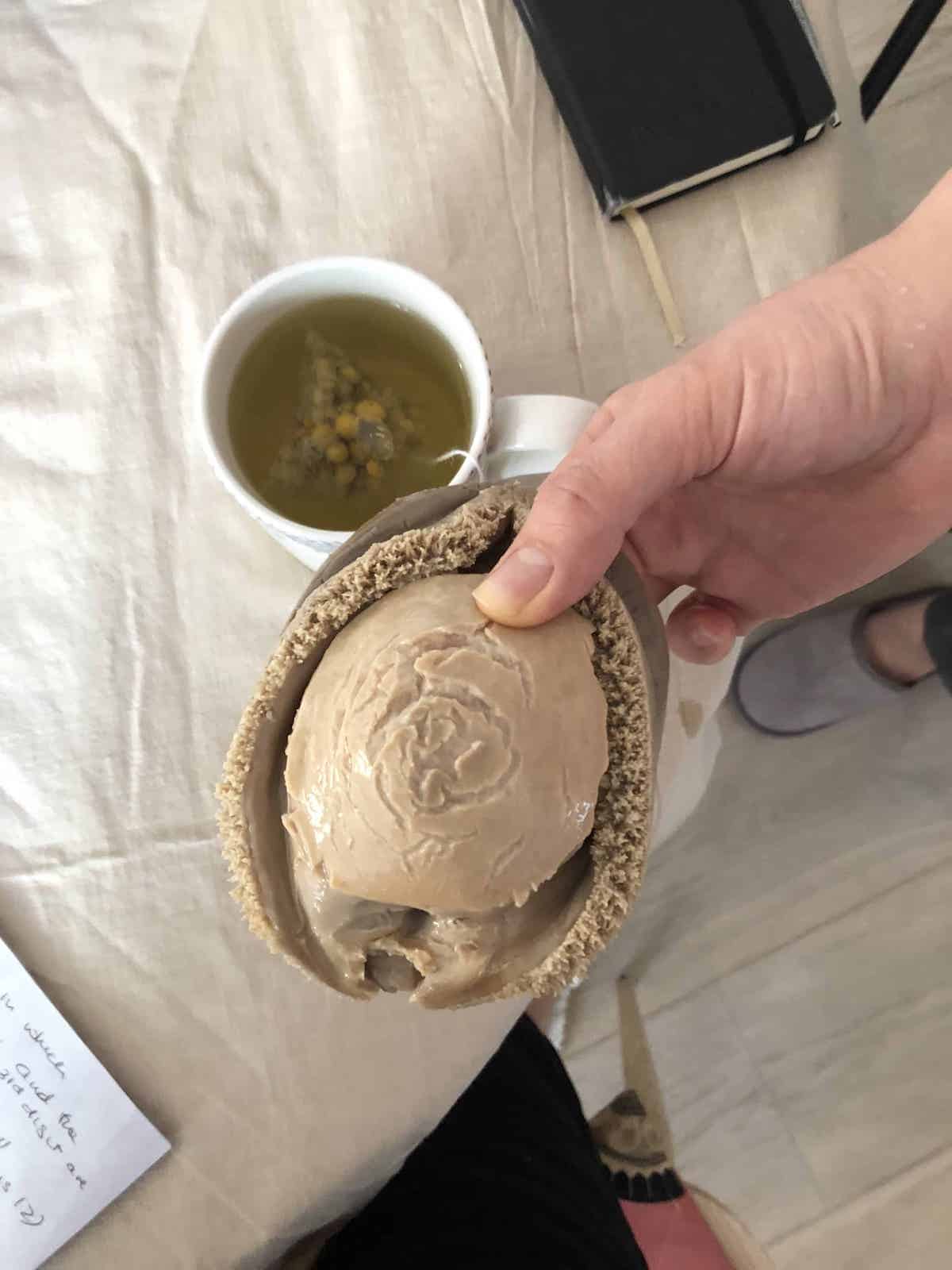 Someone holding a very large whole abalone.