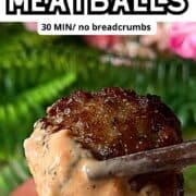 Asian Pork Meatball dipped in sauce with text above.