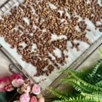 A tray of homemade candied walnuts with sesame seeds.