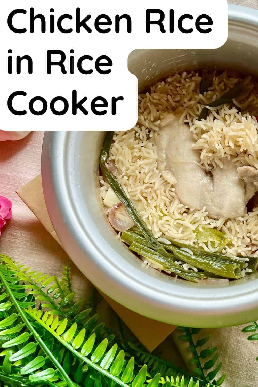 Chichen Rice Cooker Hainanese Chicken Rice (Rice Cooker) - Greedy Girl Gourmet