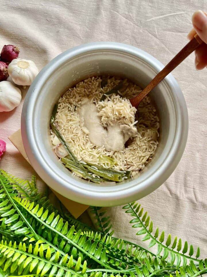 Chichen Rice Cooker Hainanese Chicken Rice (Rice Cooker) - Greedy Girl Gourmet