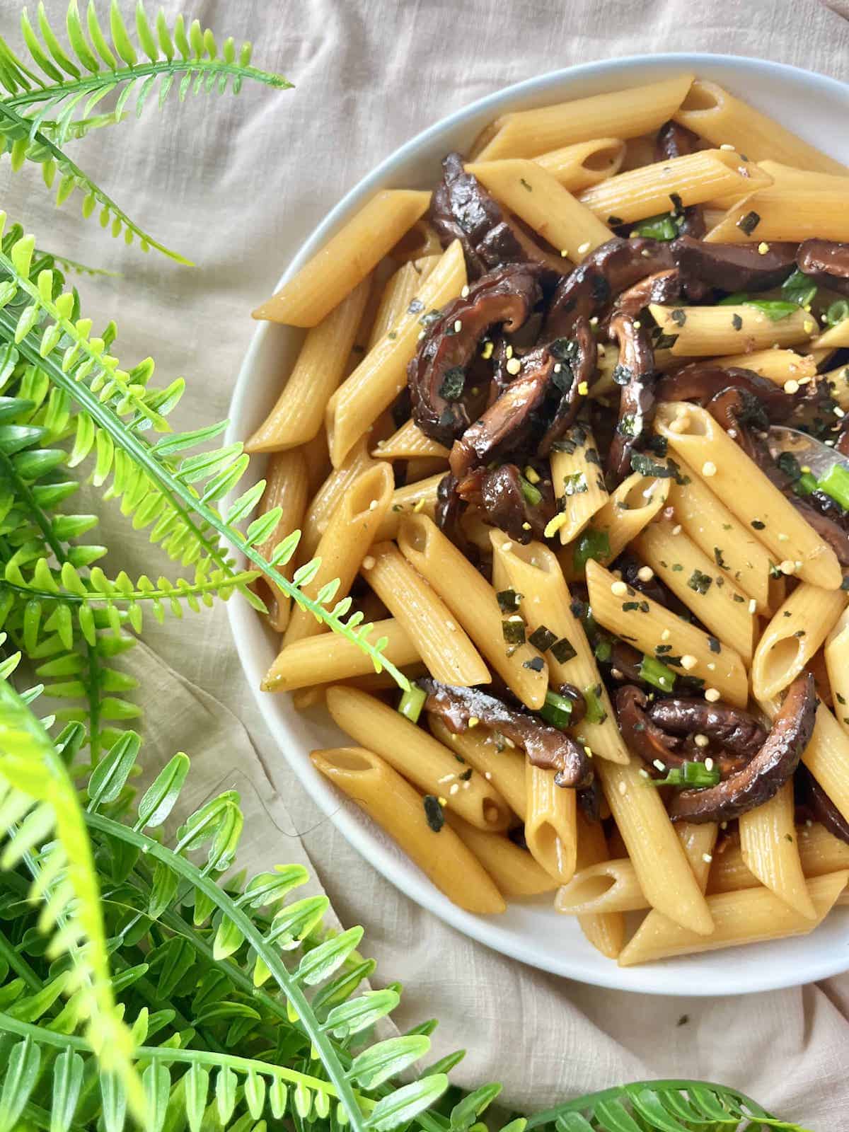 Close-up of a plate full of penne pasta in teriyaki sauce.