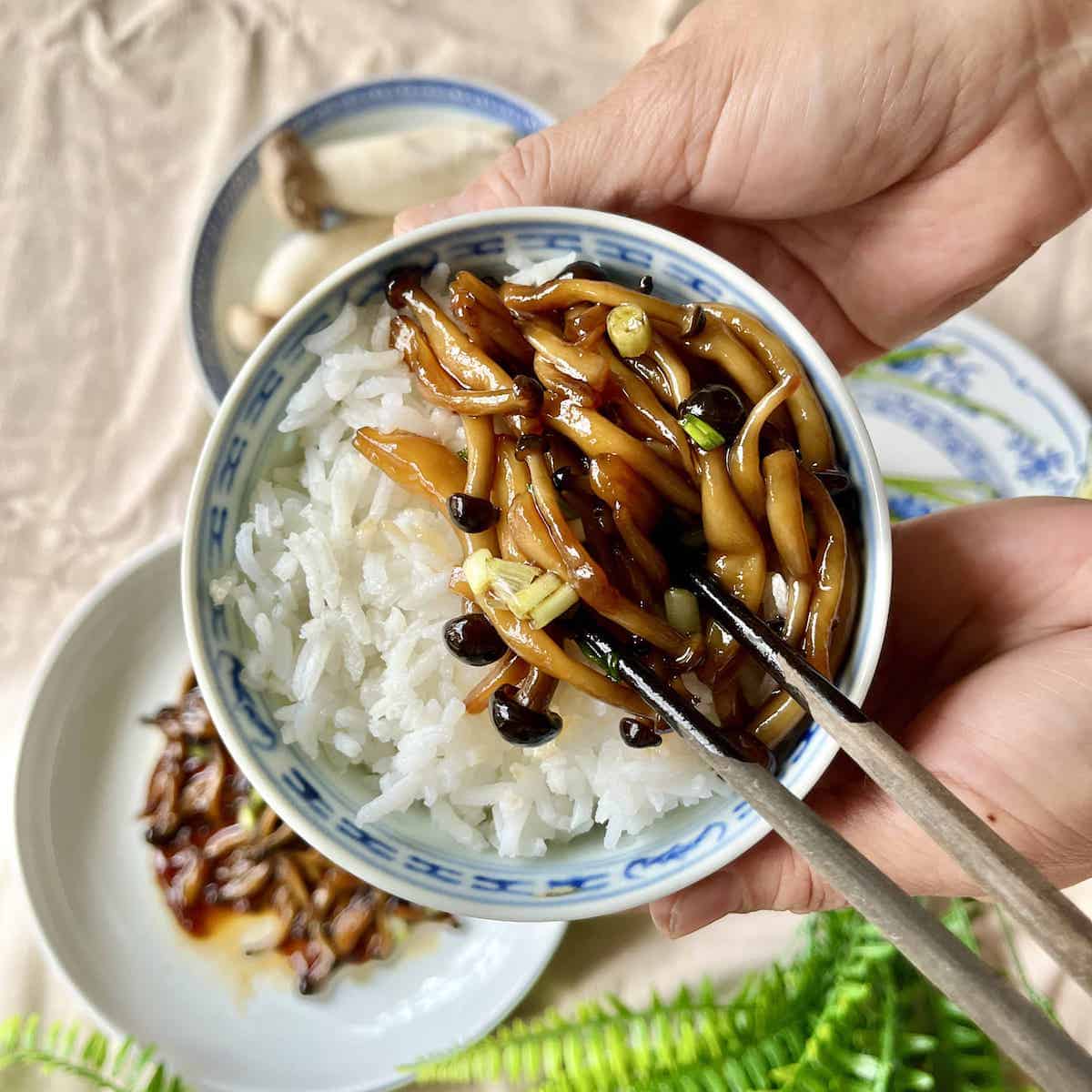 Close-up of a bowl of rice with shimeji mushrooms in teriyaki sauce.