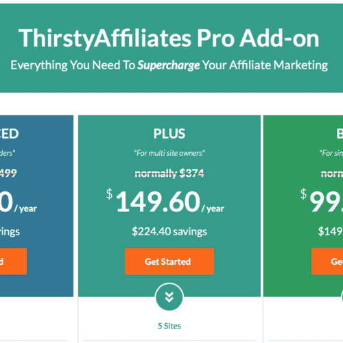 Pricing for 3 different Thirsty Affiliates Pro plug-in licenses.