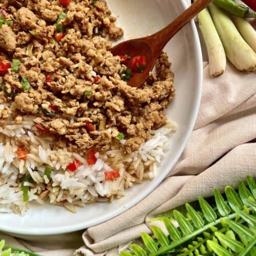 A wooden spoon scooping up stir-fried minced chicken, with fresh cut sliced chili, and rice.