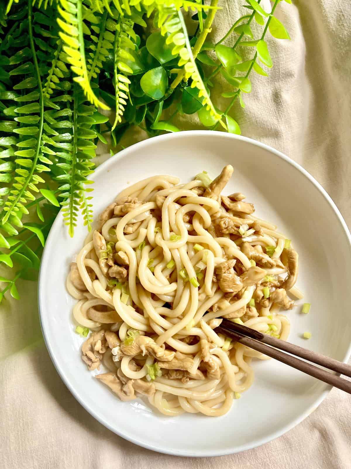 A plate of teriyaki udon noodles with chicken thigh.