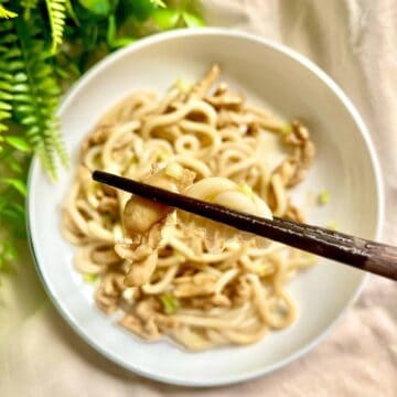 Picking up a piece of chicken and noodles from a plate of stir-fried teriyaki udon.