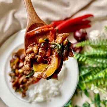 A spoonful of Thai Basil Chicken with capsicum, red chilies, and rice.