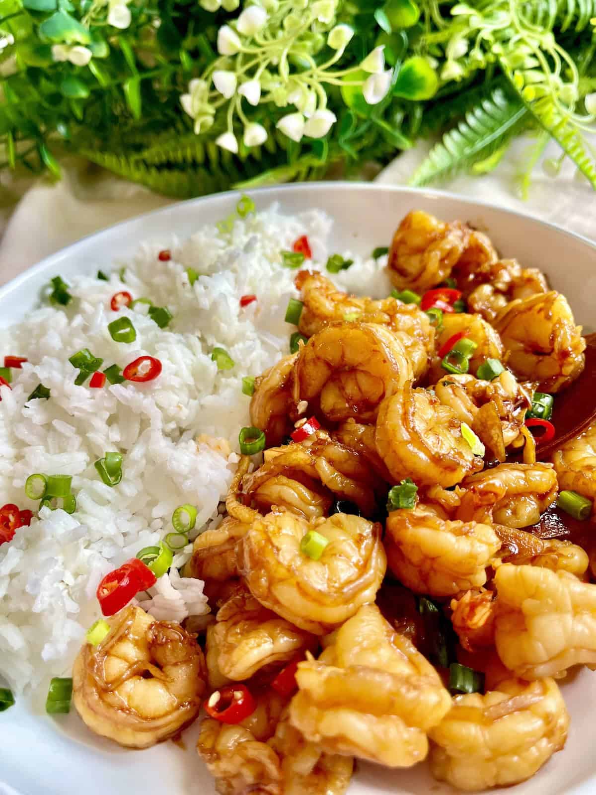 Close-up of stir fried Teriyaki shrimp and rice.