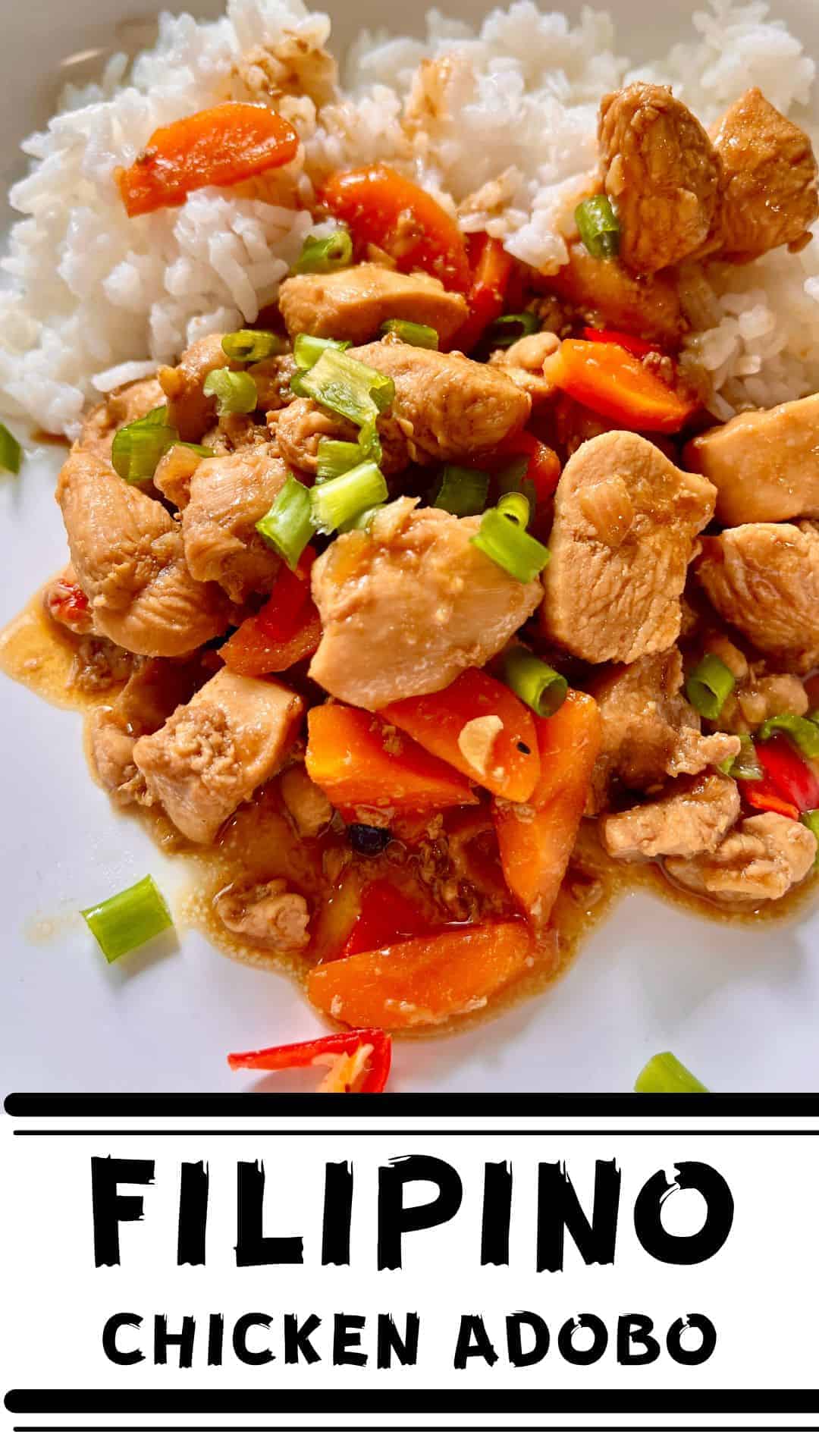 Filipino pork adobo stew with rice and carrots.