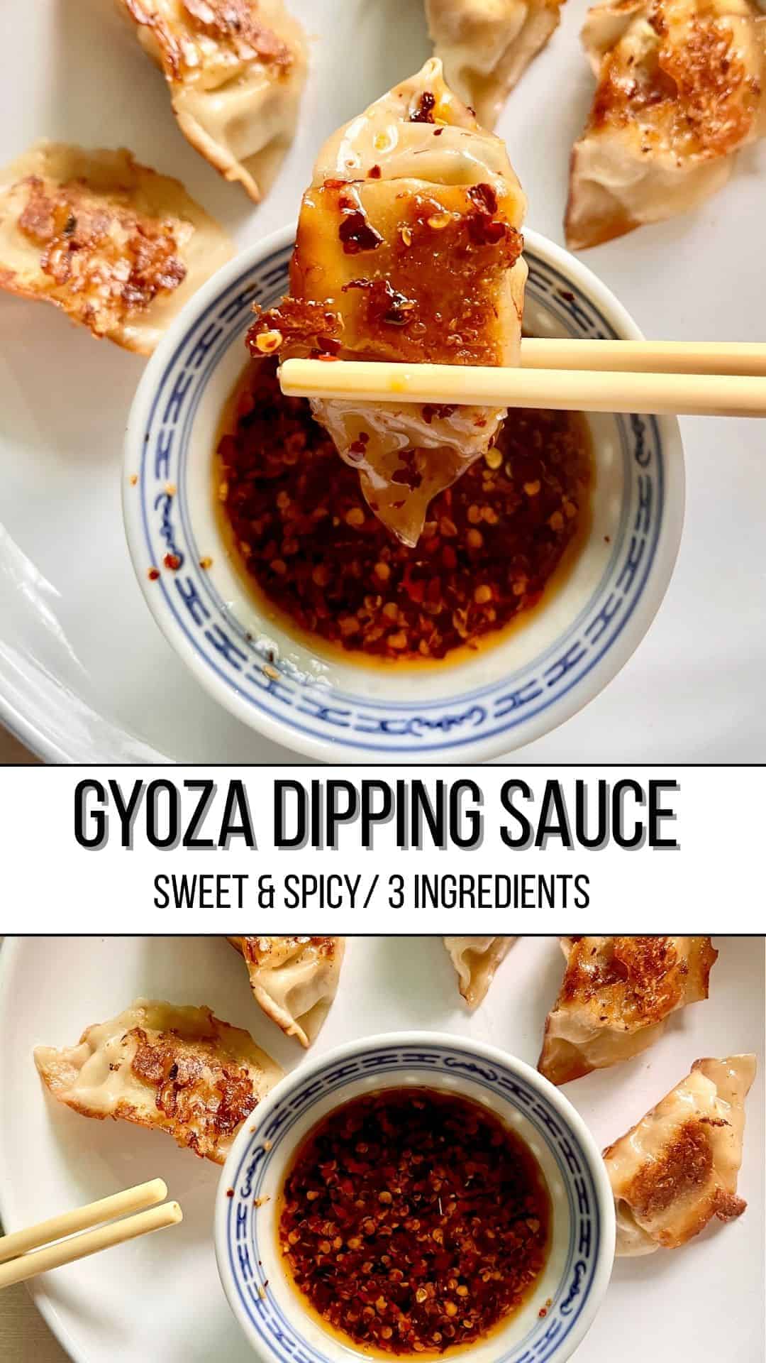 Dipping a dumpling into Japanese gyoza dipping sauce.