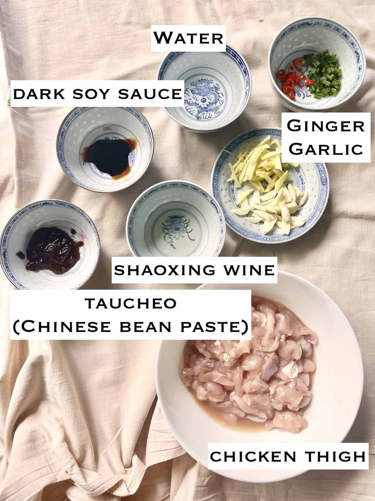 Ingredients for Singapore Nyonya Chicken Stir Fry.